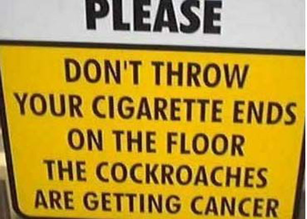 cockroaches-cancer