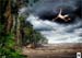 wwf_tarzan